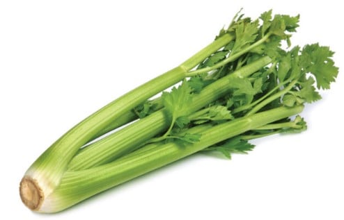 celery