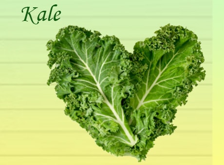 Kale-one of 11 Items That Should Never Be Placed In a Juicer