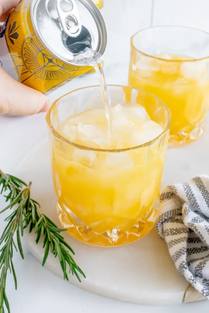 Orange Juice and Gin Cocktail Recipe