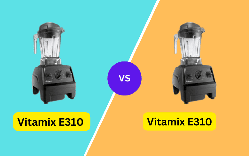 Vitamix E310 vs. Vitamix E310