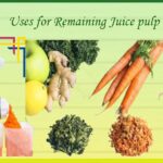 uses for remaining juicing pulp