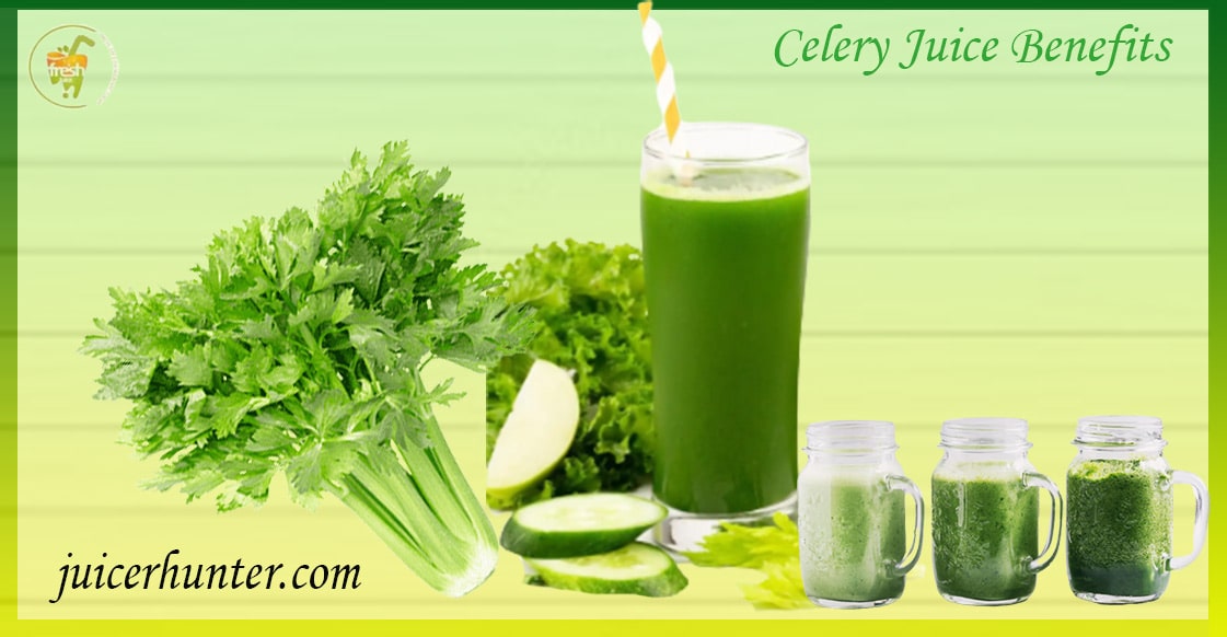 How Beneficial Is Celery Juice
