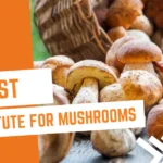 19 Best Substitute For Mushrooms