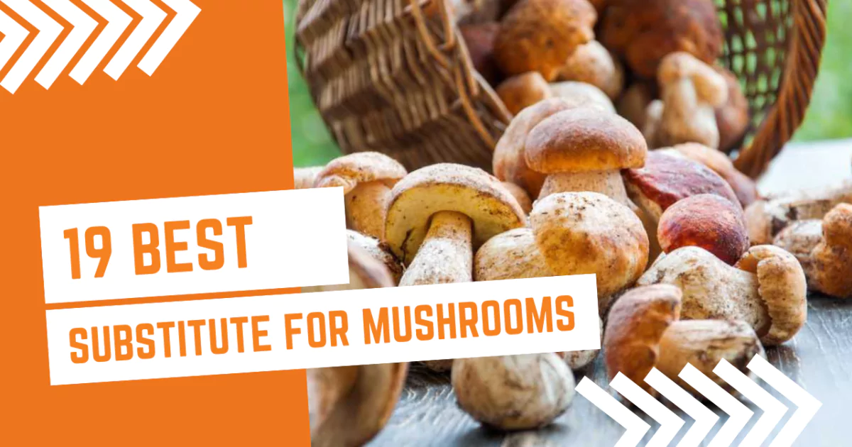 19 Best Substitute For Mushrooms