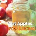Best Apples for Juicing