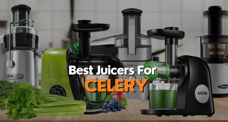 Best Juicers For Celery - Juicer Hunter