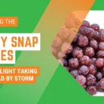 Candy Snap Grapes