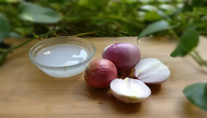 10 Benefits Of Onion Juice