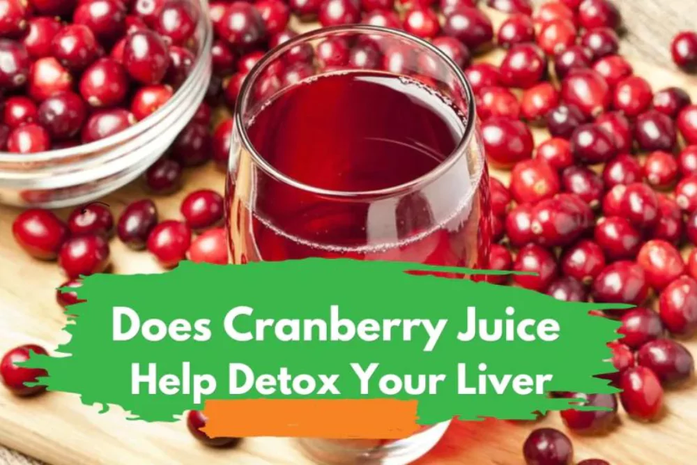 Does Cranberry Juice Help Detox Your Liver - Juicer Hunter