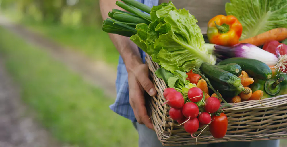 Benefits Of Man-Made Vegetables