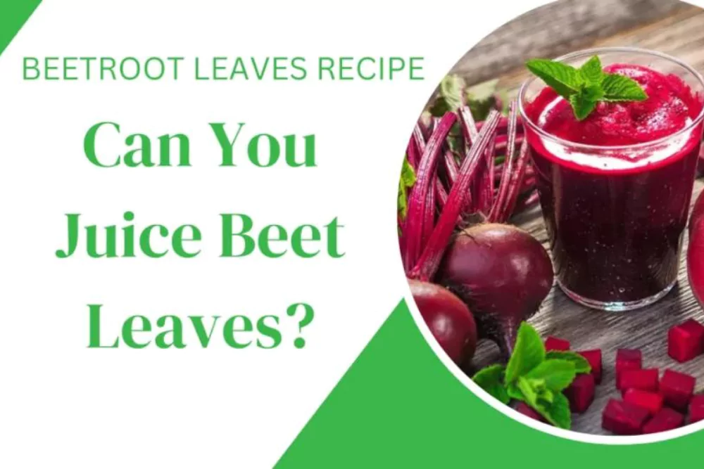 Can You Juice Beet Leaves-Juicer Hunter