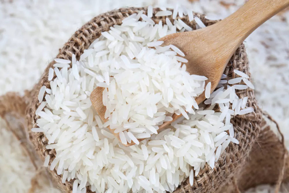 Is Rice A Plant-Based Food