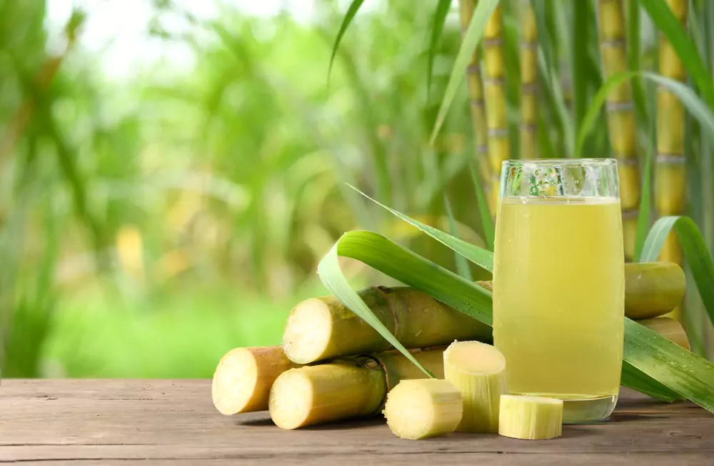 Is Sugarcane A Fruit, Vegetable, Or Grass