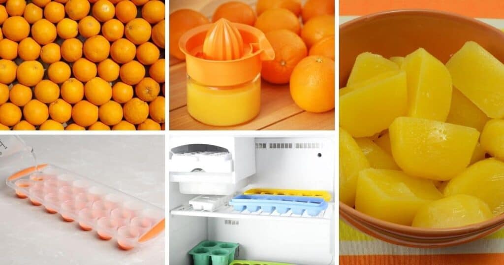 Best Way To Freeze Orange Juice