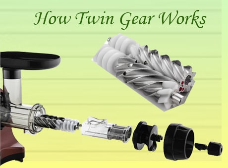 Twin gear juicers