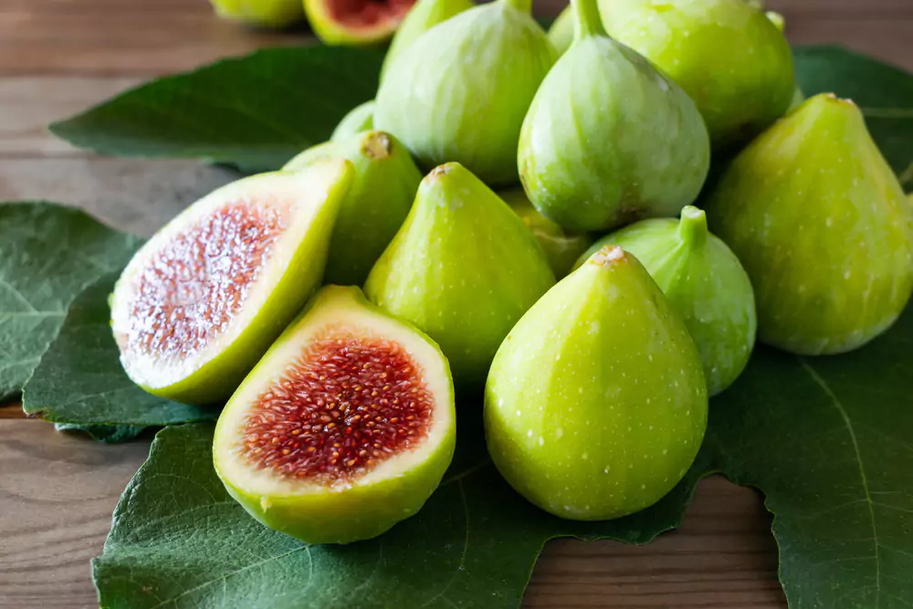 Green Fig 