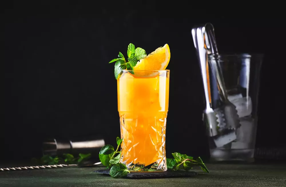 Gin And Orange Juice Cocktail Variations You Need To Try