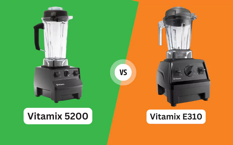Vitamix 5200 vs. Vitamix E310