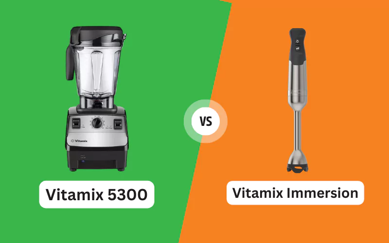 Vitamix 5300 vs. Vitamix Immersion Blender