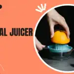 Manual Juicer Guide: Best Types, Pros, Cons & Tips Manual juicer reamer and handheld squeezer with lemons and limes