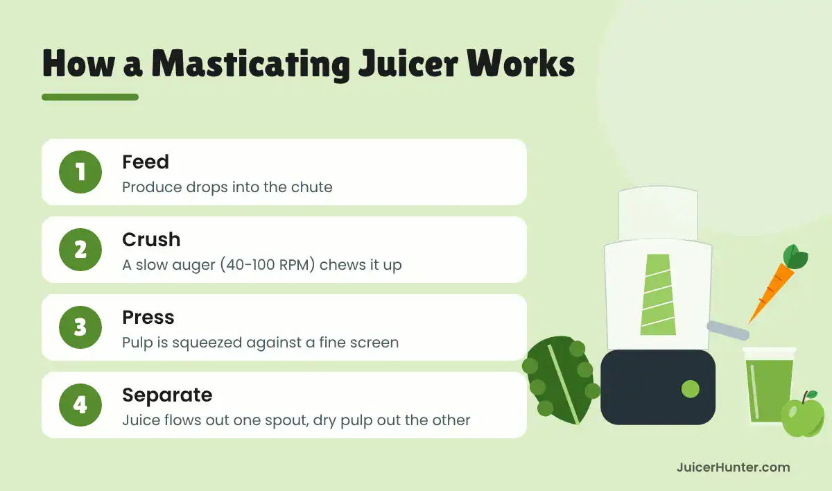 Infographic of the four steps in how a masticating juicer works