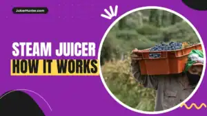 Steam juicer with fresh grapes ready for steam juicing